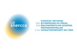 Logo_snefcca